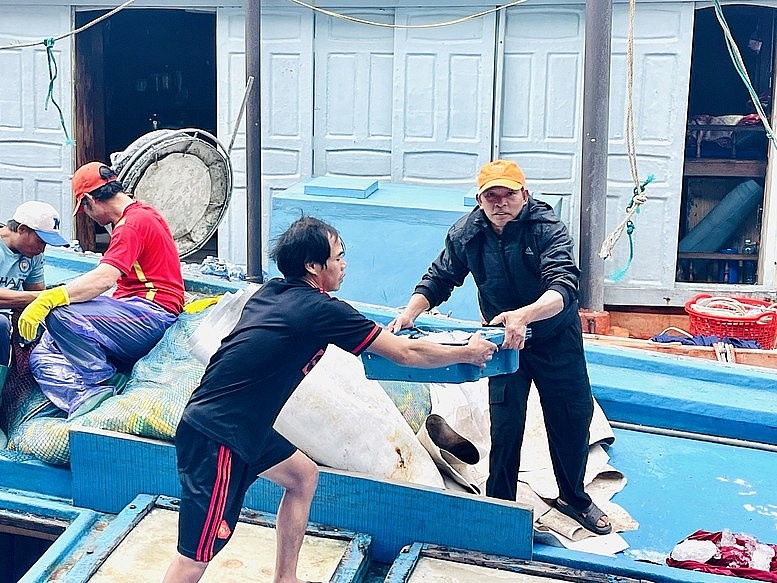 Quảng Ngãi xử lý nghiêm hành vi môi giới đưa tàu đi khai thác trái phép