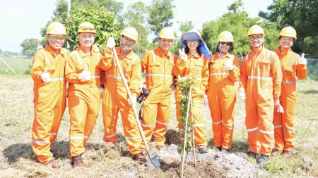 NCSP và PV GAS D chung tay phủ xanh không gian sống