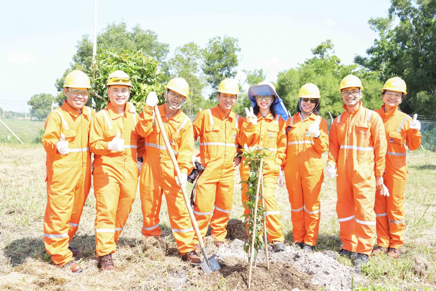 NCSP và PV GAS D chung tay phủ xanh không gian sống