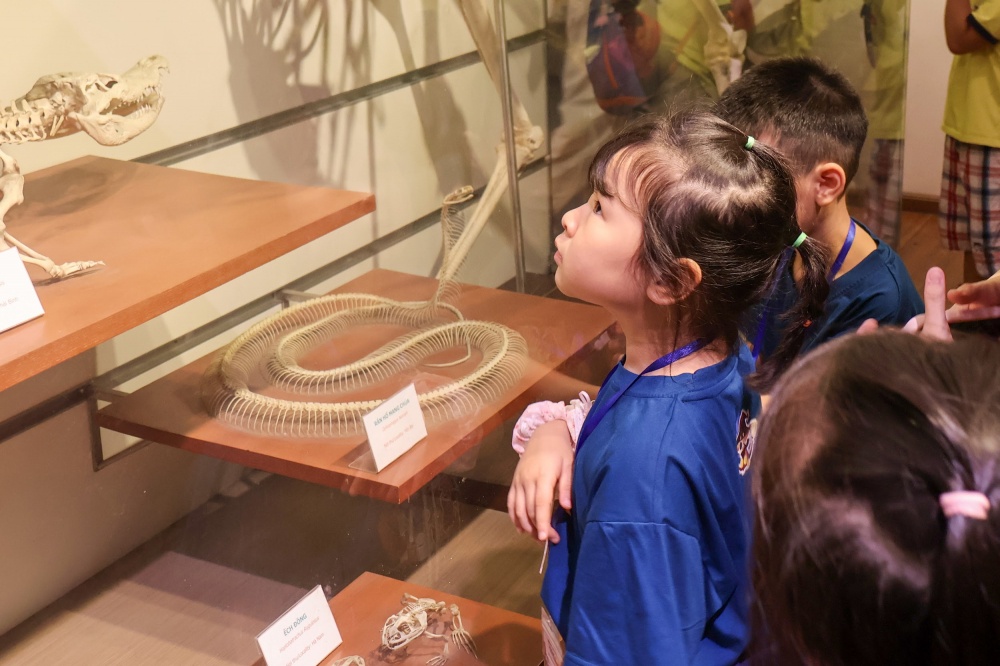 Các em nhỏ hào hứng khám phá tại Bảo tàng Thiên nhiên Việt Nam 