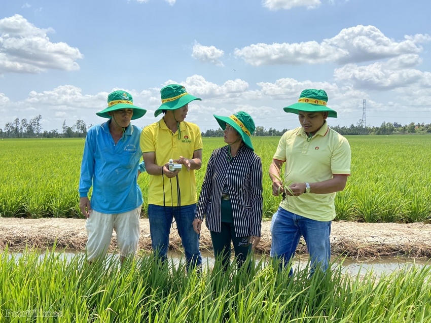 Petrovietnam và 5 chữ 