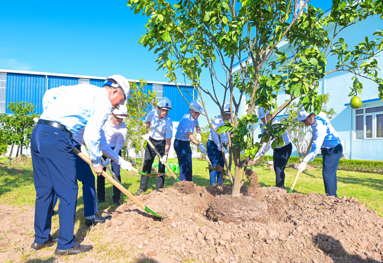 Lãnh đạo Petrovietnam và PV GAS khảo sát hoạt động và trồng cây lưu niệm tại Trung tâm Phân phối khí Tiền Hải