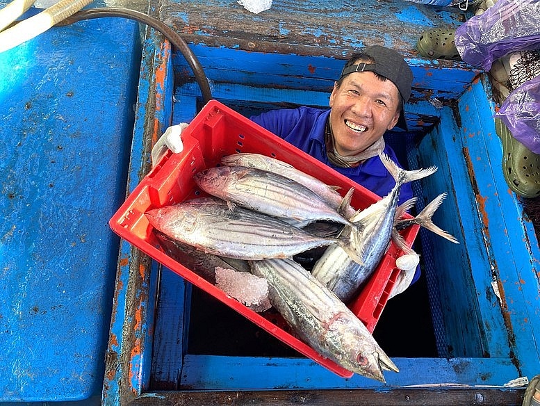 Đà Nẵng đặt quyết tâm cao nhất chấm dứt tình trạng vi phạm IUU