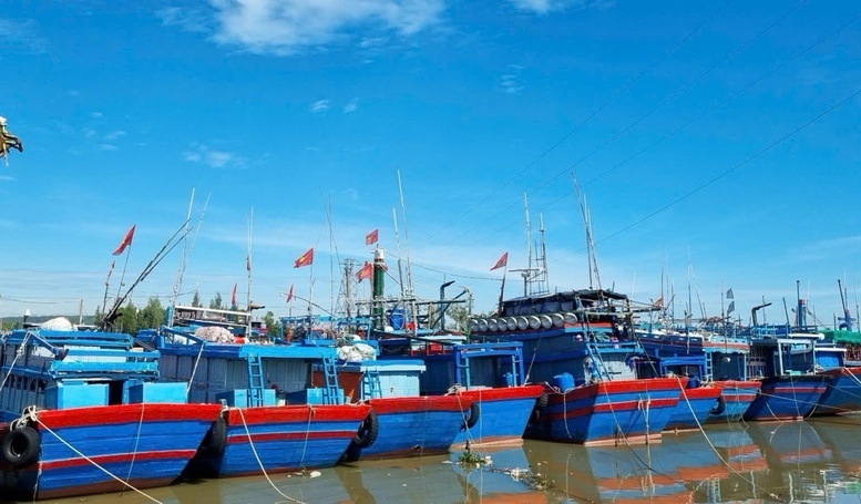 Quảng Ngãi tập trung giải quyết dứt điểm các tồn trong chống khai thác IUU