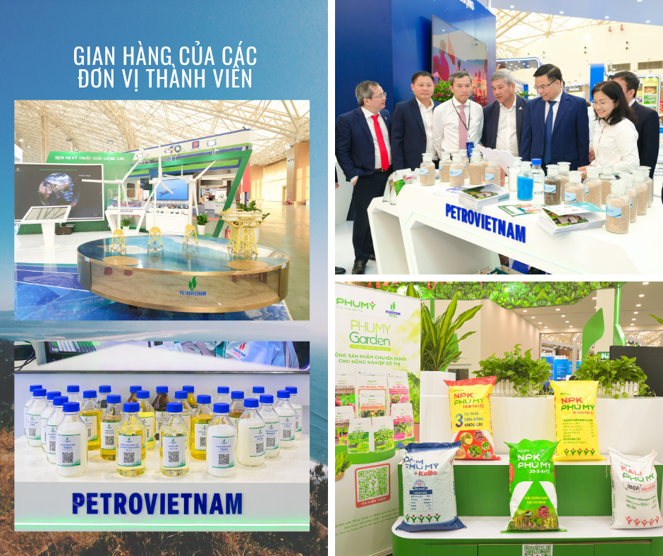 [E Magazine] 50 năm – Dòng chảy năng lượng, lan tỏa tinh thần yêu nước