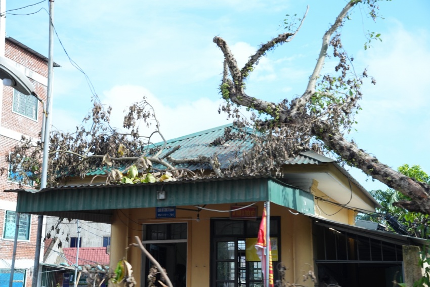 Công đoàn Petrovietnam cùng các đơn vị khắc phục thiệt hại tại các tỉnh sau bão số 5