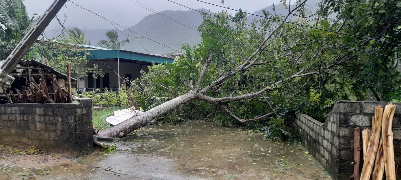 Bão số 10 gây mất điện diện rộng: EVN huy động khẩn cấp lực lượng khắc phục sự cố