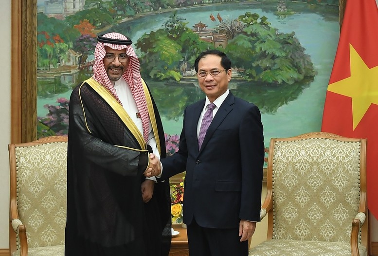 Việt Nam mong muốn Saudi Arabia thúc đẩy cung cấp dầu thô, khí hoá lỏng ổn định, lâu dài