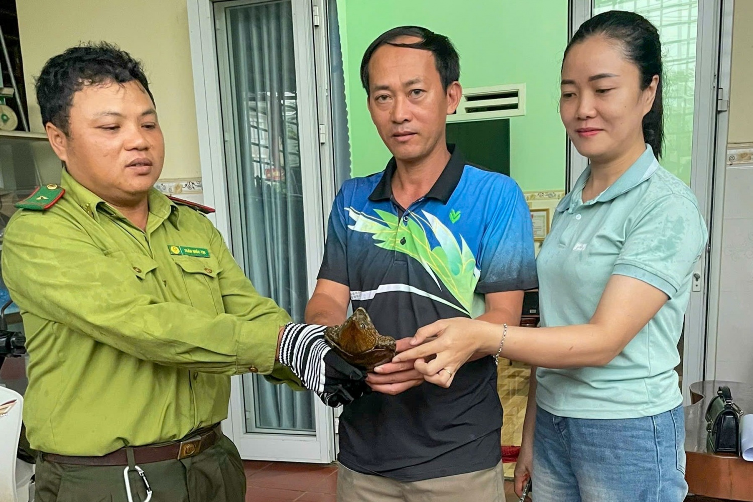 Người dân trao lại cá thể rùa đầu to quý hiếm cho lực lượng chức năng.