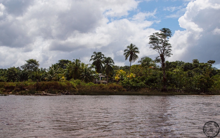 Một đoạn sông Essequibo.