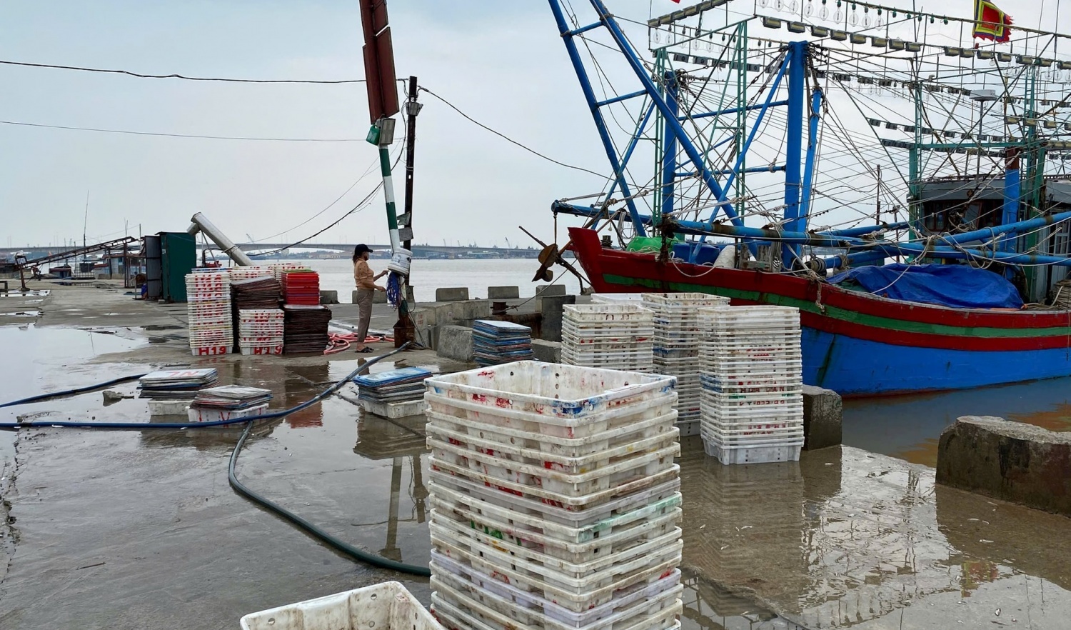 Quảng Trị: Chạy nước rút gỡ “thẻ vàng” IUU