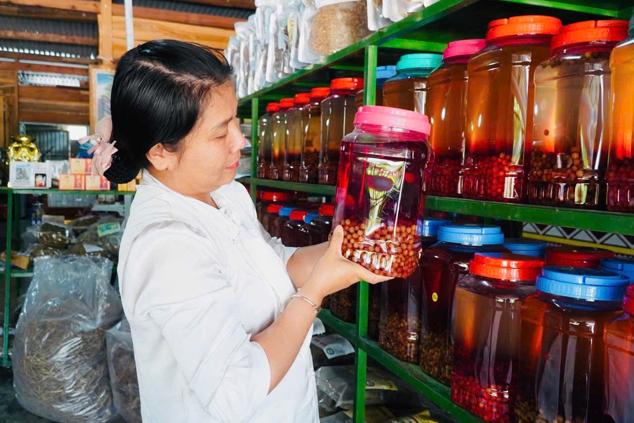 “Hạt ngọc trời” giúp người dân kiếm tiền triệu ở phía Tây Quảng Ngãi