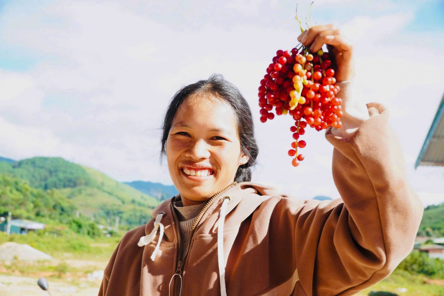 “Hạt ngọc trời” giúp người dân kiếm tiền triệu ở phía Tây Quảng Ngãi