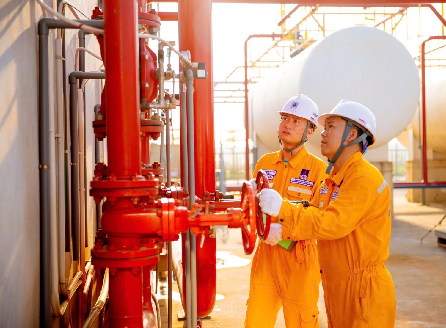 PV GAS xây dựng nguồn nhân lực chuyên nghiệp, theo chuẩn quốc tế, đáp ứng chiến lược phát triển