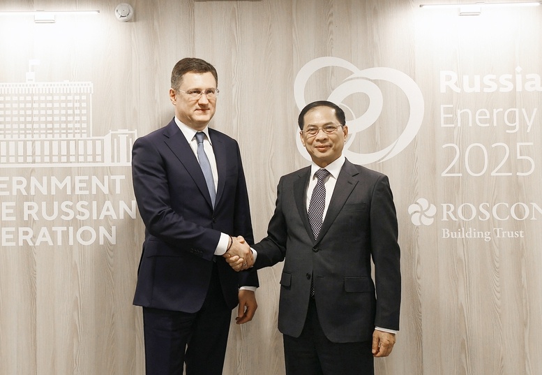Việt Nam - Liên bang Nga nhất trí nghiên cứu mở rộng hợp tác trong các lĩnh vực năng lượng mới