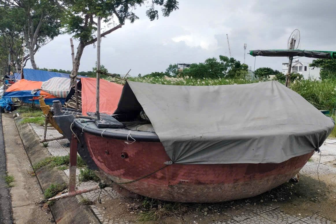 Các  loại tàu thuyền nhỏ được người dân đưa lên bờ, neo vào gốc cây, phủ bạt an toàn.