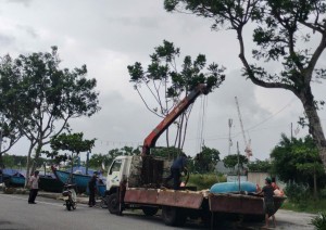 Đà Nẵng ứng phó mưa lớn và bão số 12 ở mức độ cao nhất