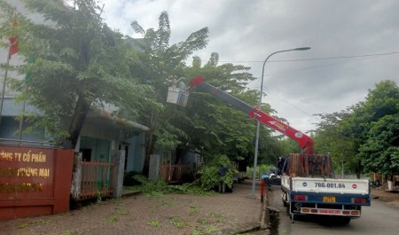 BSPPT triển khai các phương án ứng phó với bão số 12