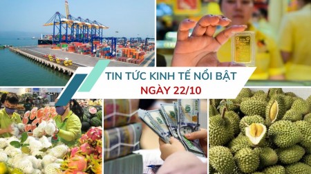 Tin tức kinh tế ngày 22/10: Giá vàng rơi tự do