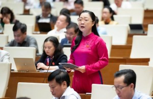 Đại biểu Quốc hội: Cần dồn sức cho các dự án trọng điểm, tránh đầu tư dàn trải