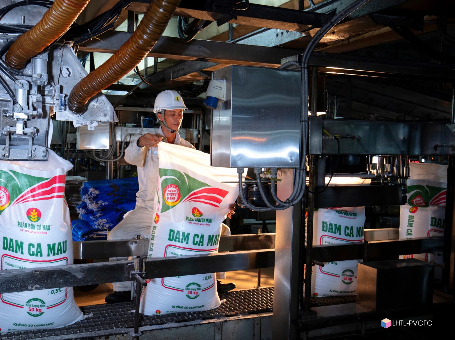 Đại hội cổ đông DCM bất thường: Dấu mốc chuyển mình chiến lược