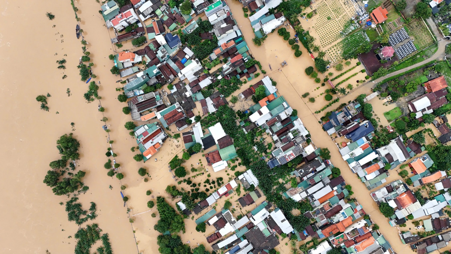 Theo Báo cáo nhanh của Cục Đê điều và Phòng, chống thiên tai (Bộ Nông nghiệp và Môi trường) đến sáng 2/11, mưa lũ tại các tỉnh miền trung và Tây Nguyên đã khiến 40 người chết, mất tích, 60 người bị thương. Hơn 16.500 ngôi nhà bị ngập, hàng trăm nhà sập, h