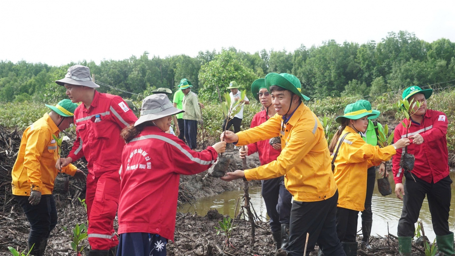 Petrovietnam và hành trình lan tỏa văn hóa qua các sự kiện cộng đồng