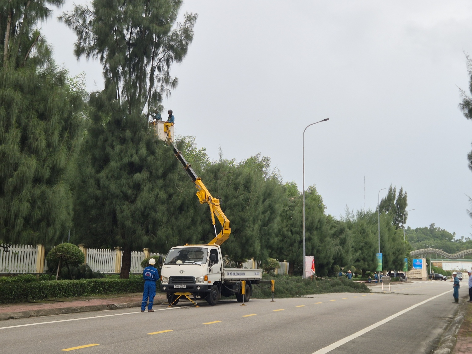 BSR tổ chức cắt tỉa cây xanh để đảm bảo an toàn cho người dân và hạ tầng tại NMLD Dung Quất.