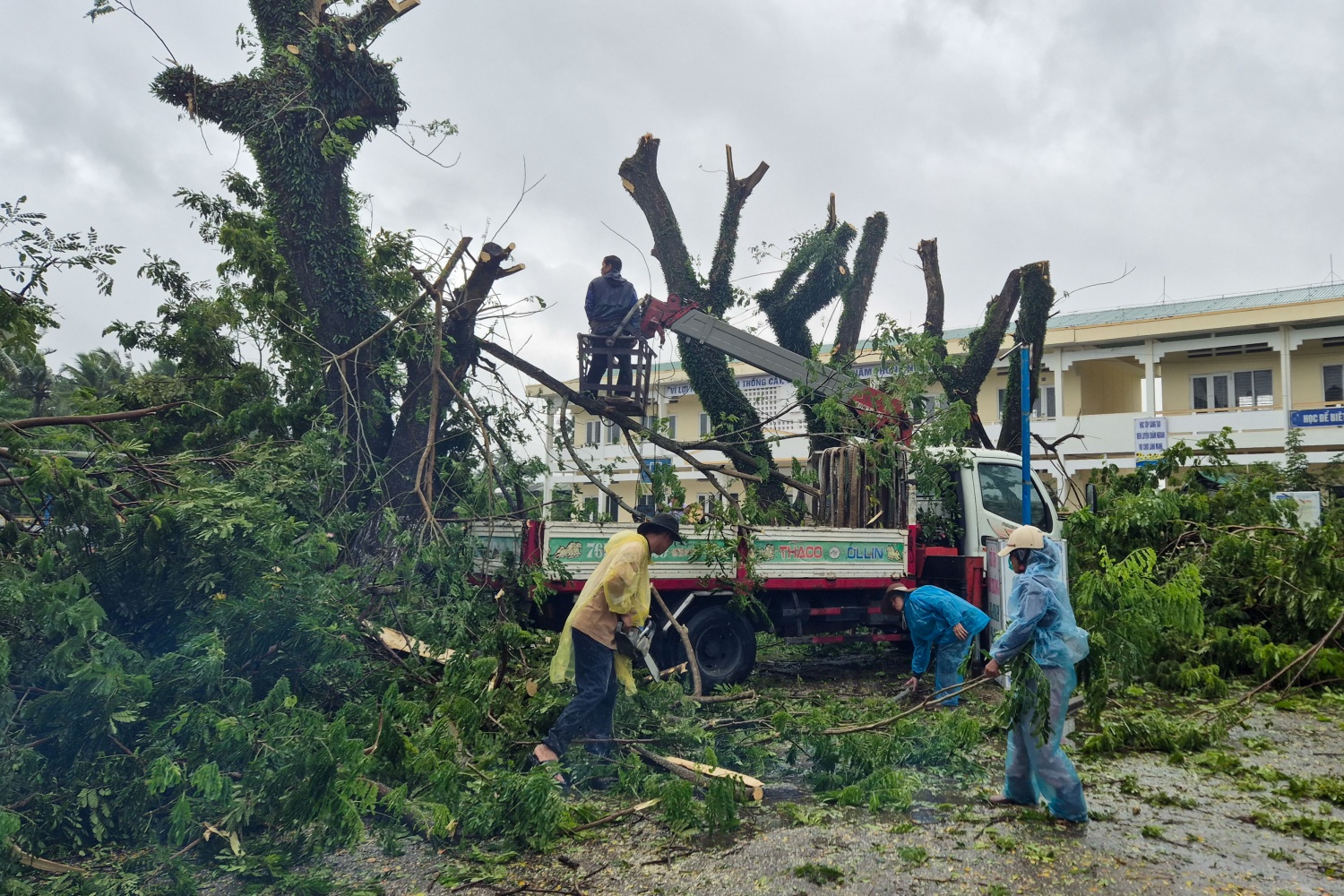 Các khu vực dành cho người dân tránh trú đang được đẩy nhanh công tác dọn dẹp, cắt tỉa cây xanh để đảm bảo an toàn cho người dân đến tránh trú.