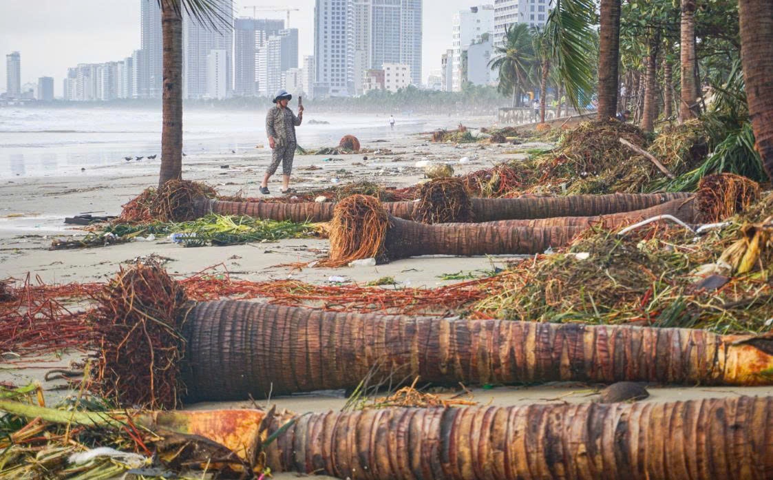 khiến triều cường dâng cao, sóng đánh tràn bờ, gây bật gốc hàng loạt cây dừa ven biển Đà Nẵng. khiến triều cường dâng cao, sóng đánh tràn bờ, gây bật gốc hàng loạt cây dừa ven biển Đà Nẵng.