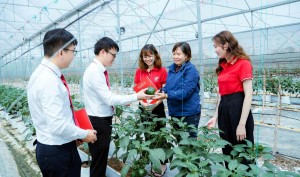 Từ “vốn xanh” đến an sinh cộng đồng