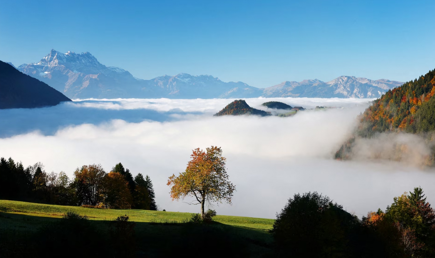 Thế giới bước vào mùa đẹp nhất trong năm