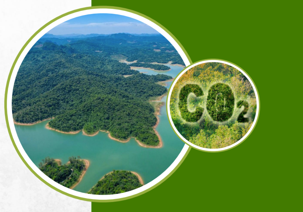PV Power chuẩn bị bước vào giao dịch lô hàng hóa đầu tiên của thị trường carbon PV Power chuẩn bị bước vào giao dịch lô hàng hóa đầu tiên của thị trường carbon
