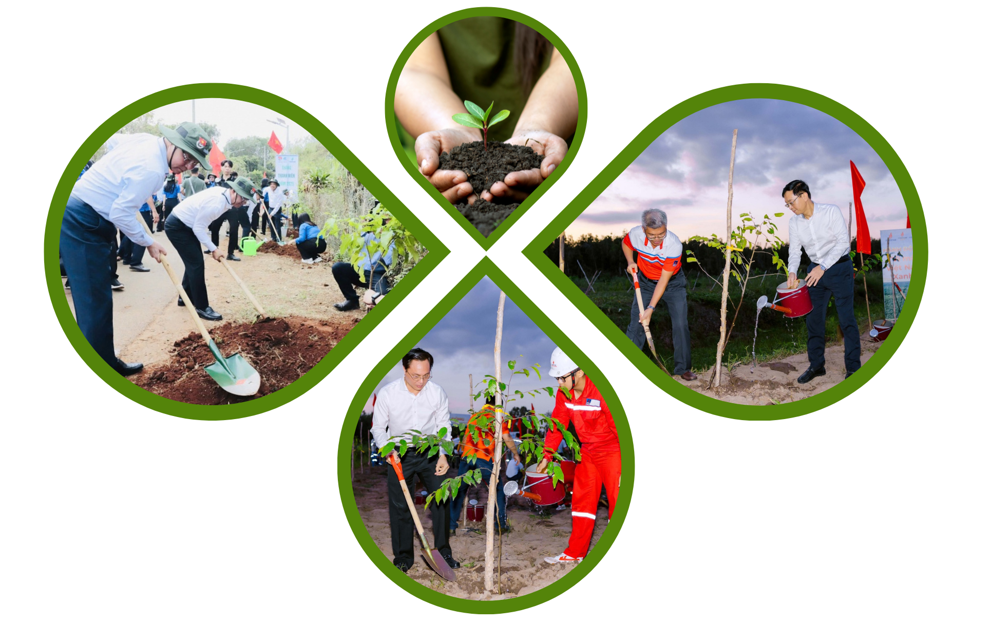 [P Magazine] Giải Marathon Cà Mau 2025 – Cúp Petrovietnam: Triệu bước chân – Ươm mầm bền vững