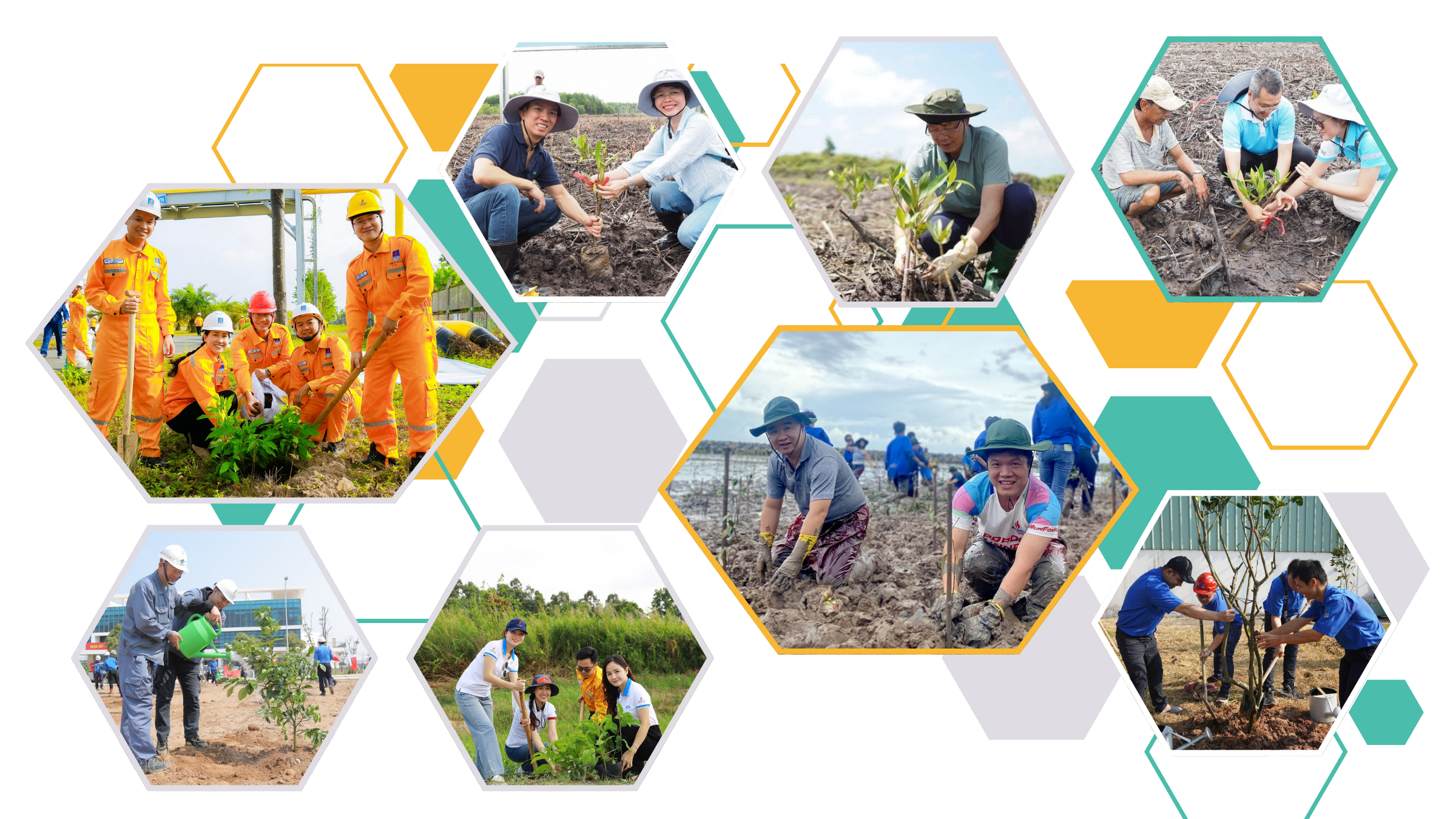 [P Magazine] Giải Marathon Cà Mau 2025 – Cúp Petrovietnam: Triệu bước chân – Ươm mầm bền vững