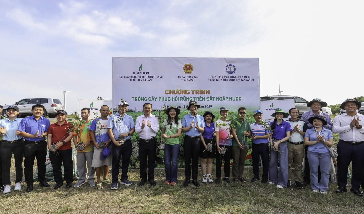 [VIDEO] “Triệu bước chân - Ươm mầm bền vững”: Petrovietnam trồng 4.000 cây phục hồi rừng ngập mặn tại Cà Mau