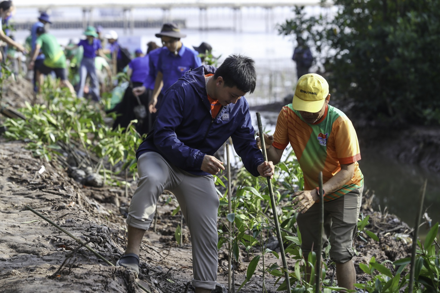 “Triệu bước chân – Ươm mầm bền vững”: Petrovietnam trồng 4.000 cây rừng ngập mặn tại Cà Mau