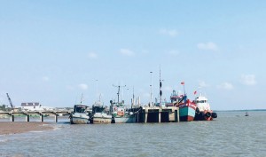 Cần Thơ: Xây dựng Trần Đề thành trung tâm kinh tế biển đa ngành