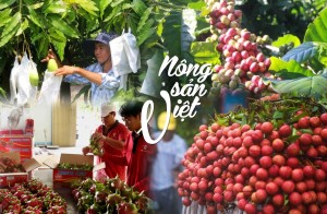 Gỡ “nút thắt” chính sách, giảm tranh chấp, tạo thuận lợi cho nông sản Việt