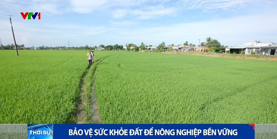 [VIDEO] Bảo vệ sức khỏe đất để nông nghiệp bền vững