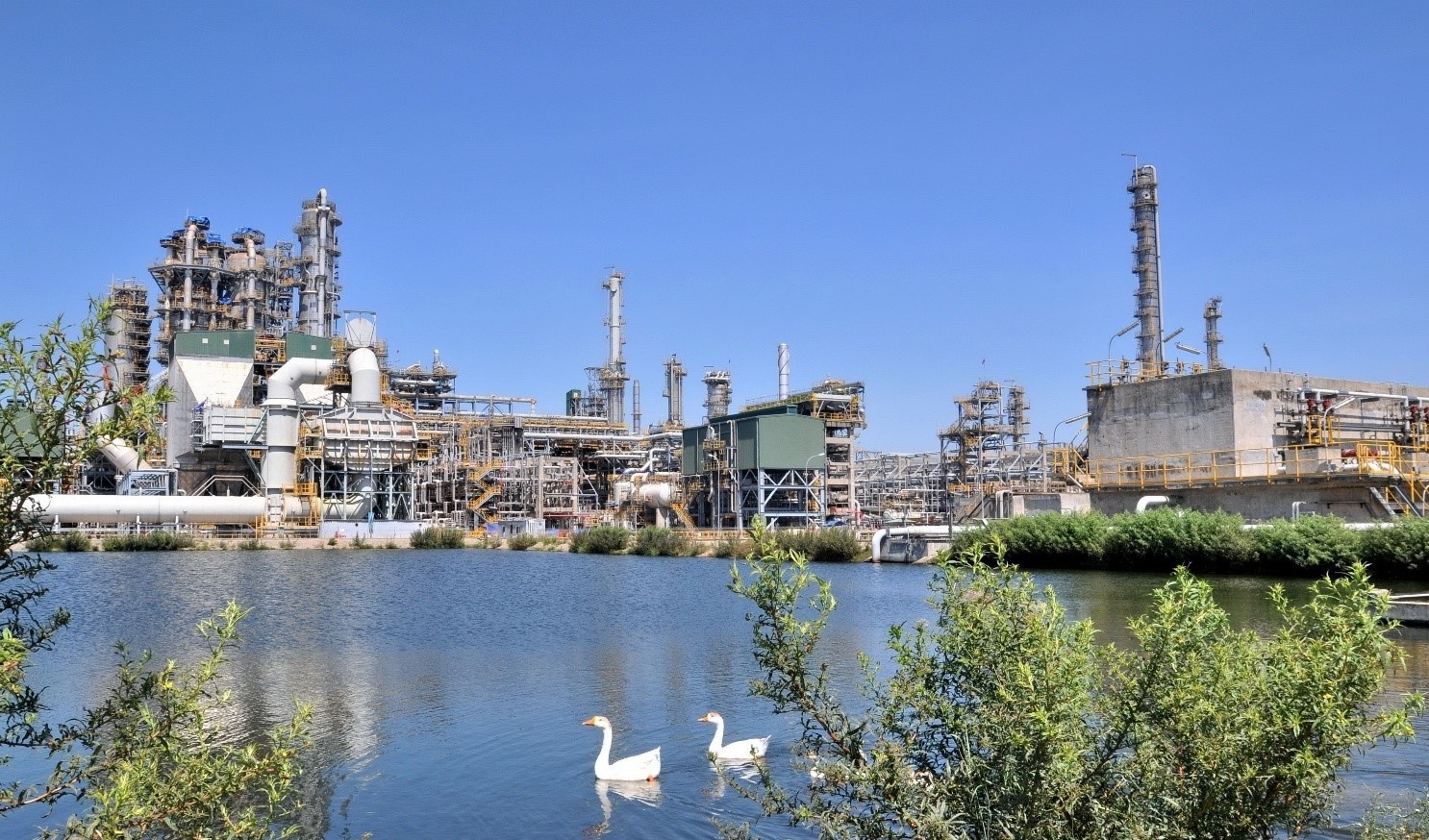 BSR proactively navigates the “storm” of 2026