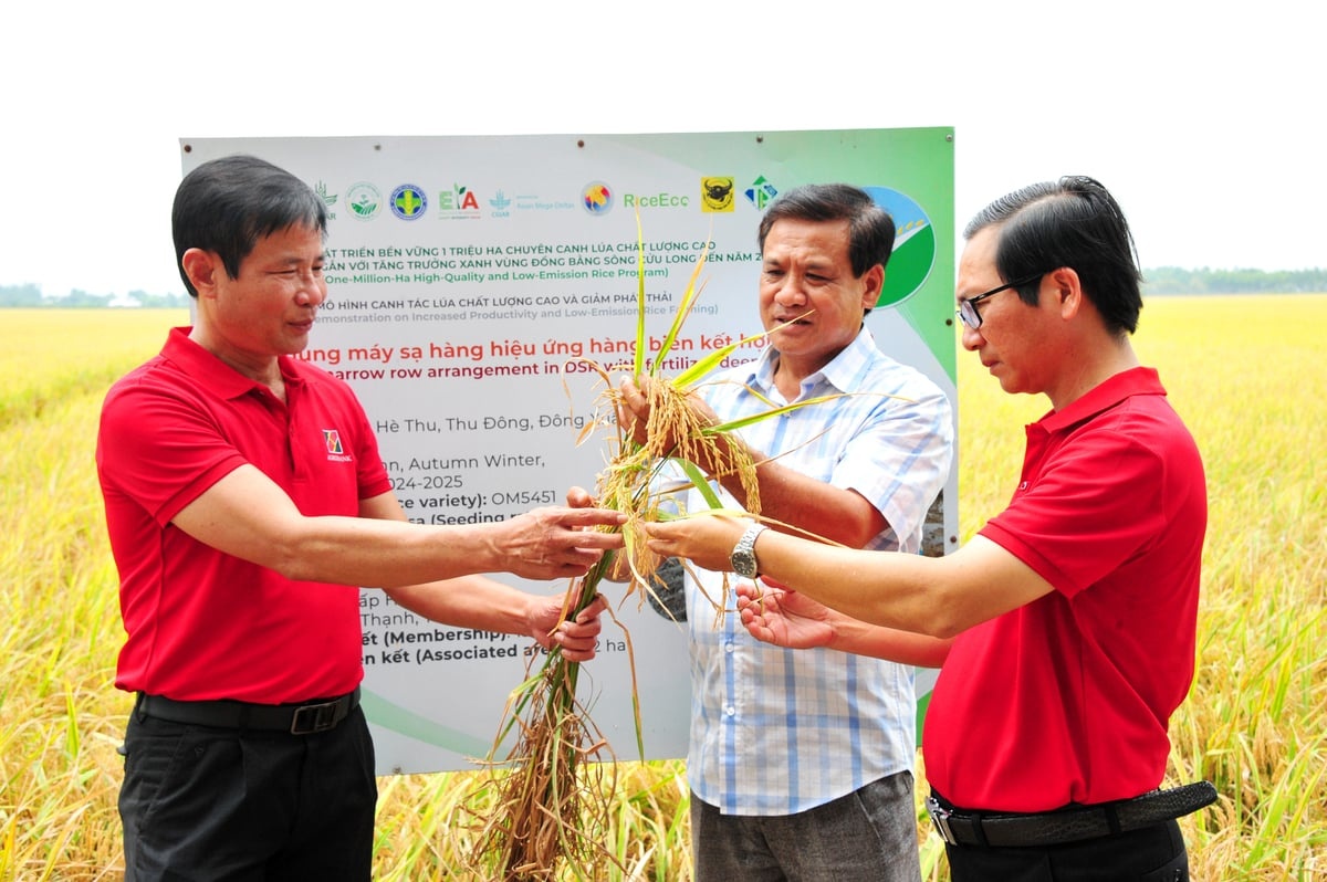 Bài 1: Những thửa ruộng biết thở ra... vàng Bài 1: Những thửa ruộng biết thở ra... vàng