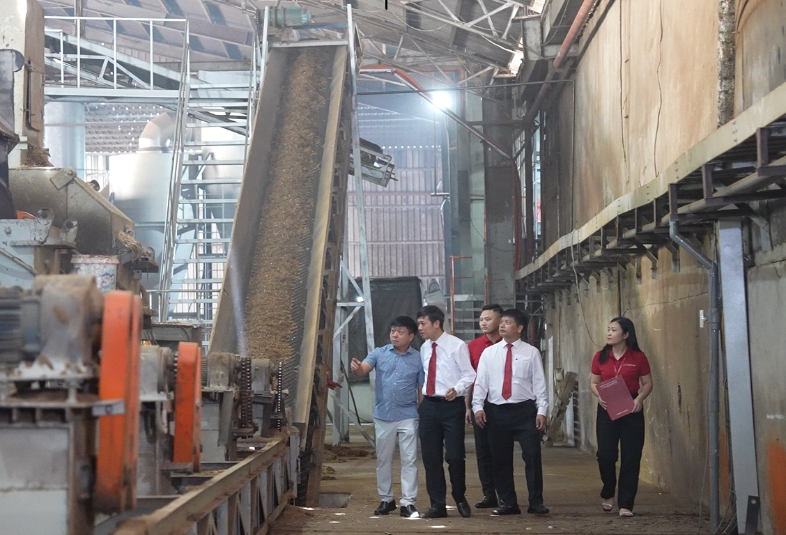 Bài 2: Cầu nối chiến lược đưa tín chỉ carbon vươn ra thị trường quốc tế Bài 2: Cầu nối chiến lược đưa tín chỉ carbon vươn ra thị trường quốc tế