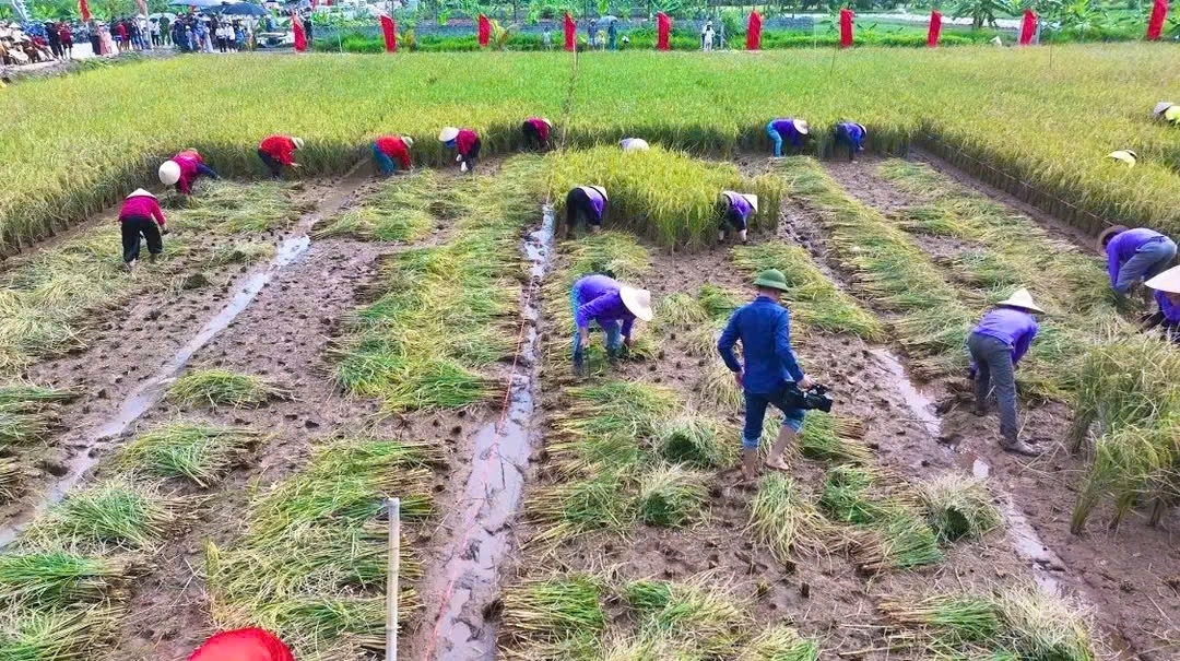 Bài 3: Từ Bài 3: Từ