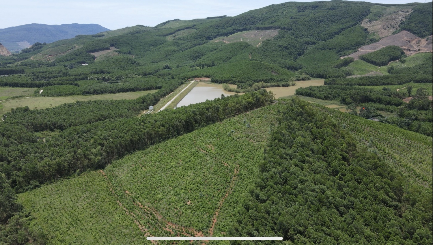 Bài 2: Cầu nối chiến lược đưa tín chỉ carbon vươn ra thị trường quốc tế Bài 2: Cầu nối chiến lược đưa tín chỉ carbon vươn ra thị trường quốc tế