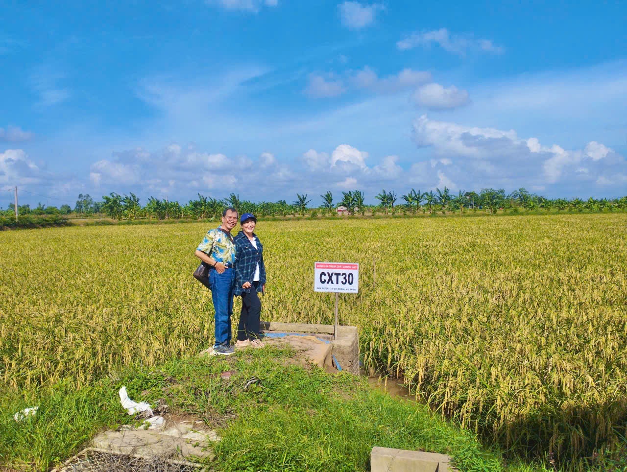 Bài 3: Từ Bài 3: Từ