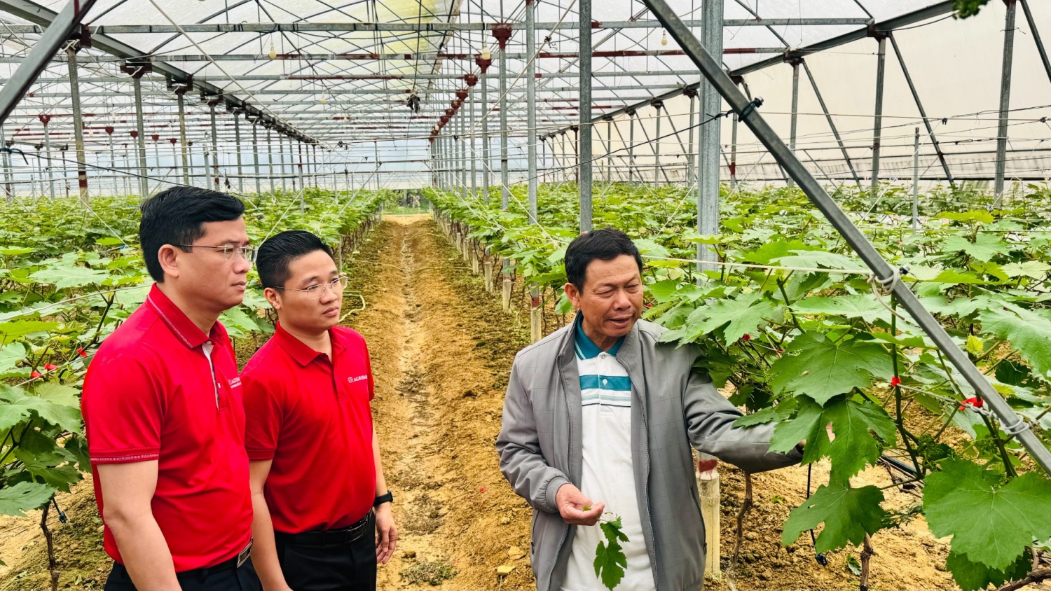 Bài 4: Đưa carbon trở thành tài sản Bài 4: Đưa carbon trở thành tài sản