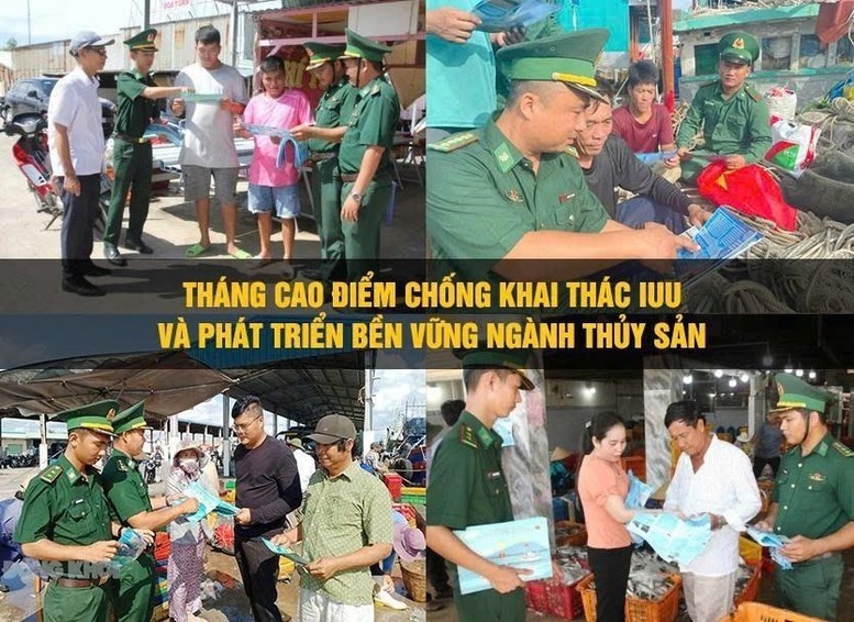 Cà Mau tạo chuyển biến toàn diện trong chống khai thác IUU Cà Mau tạo chuyển biến toàn diện trong chống khai thác IUU