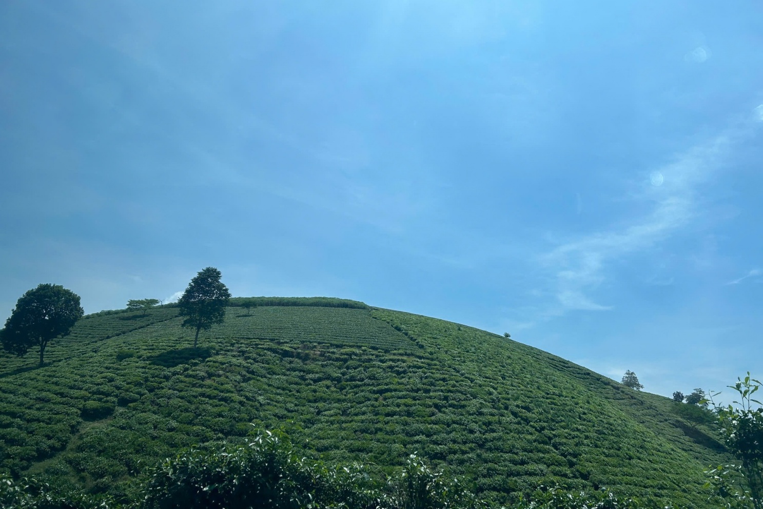 Quy định chi tiết về sàn giao dịch carbon trong nước