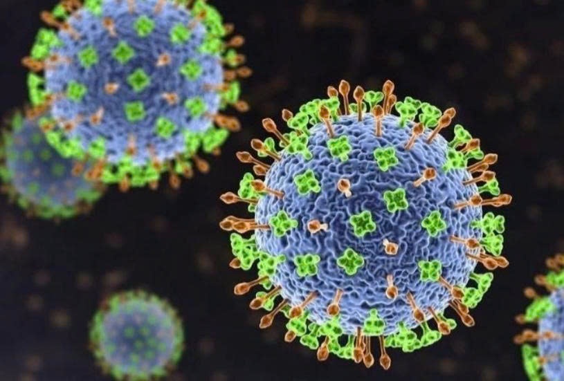 Bộ Y tế cảnh báo nguy cơ từ virus Nipah, Việt Nam siết chặt phòng dịch